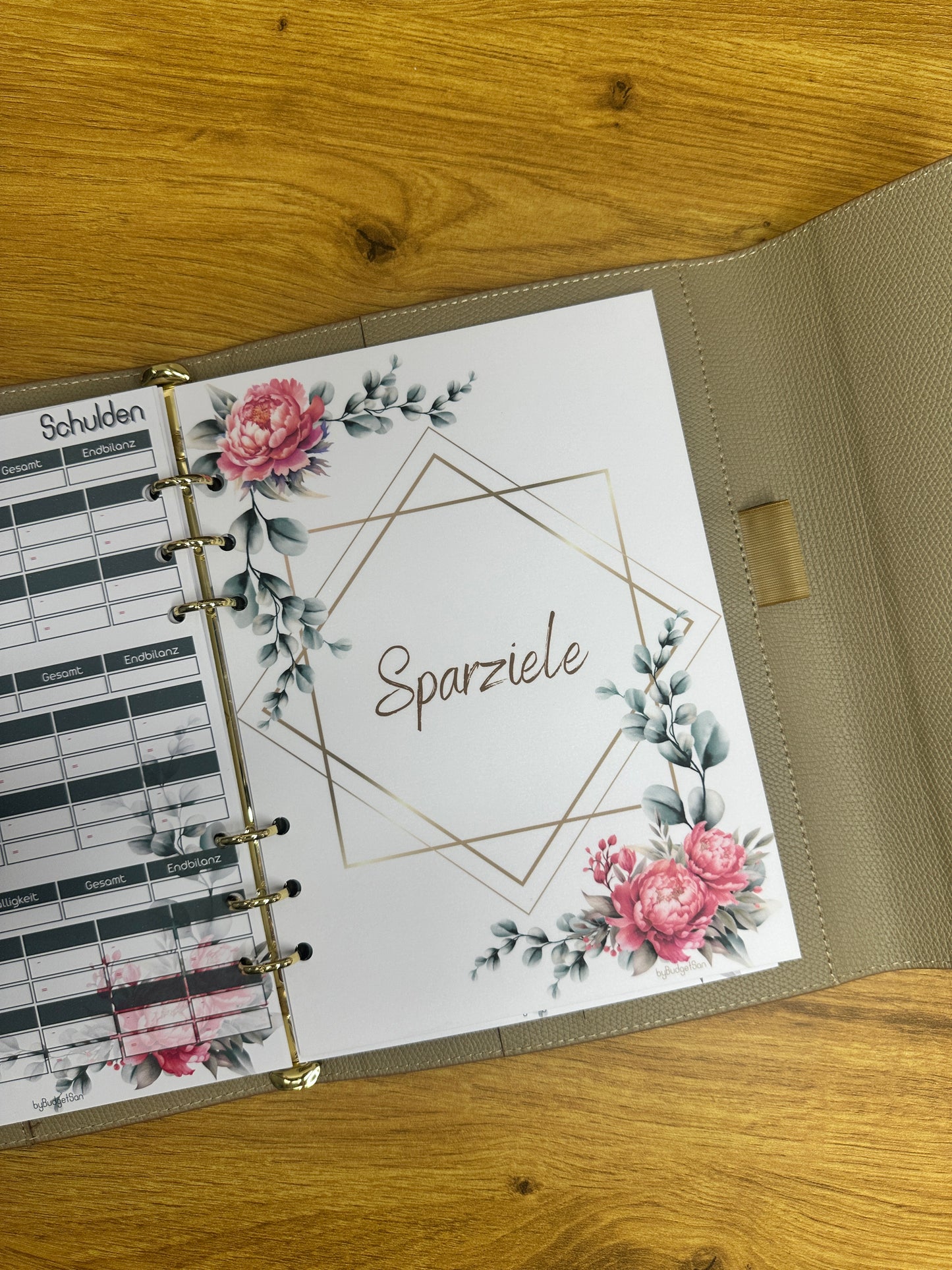 Savings Goal Tracker I A5 Inserts I 6-Hole