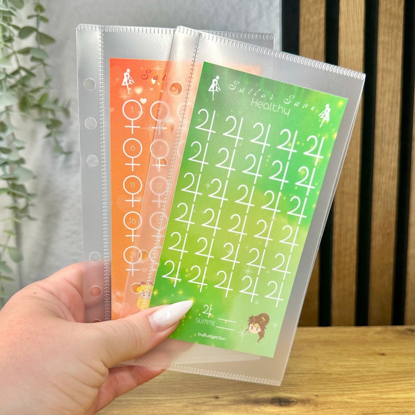 Clearfrost Envelope I transparent zipperless envelopes I A6