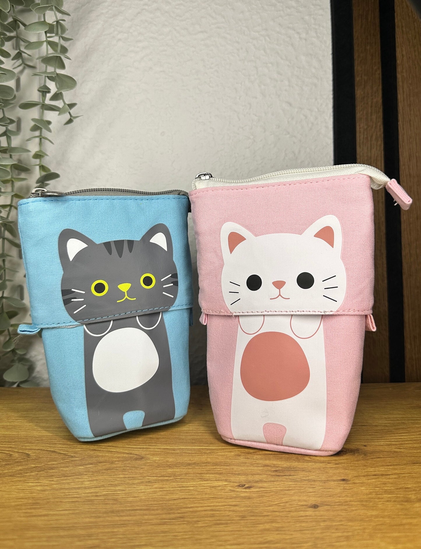 Cat Pencil Case, with three inner compartments