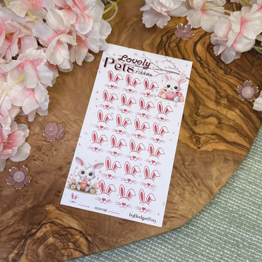 rabbits Challenges SAKURA